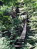 IMG_2317.JPG